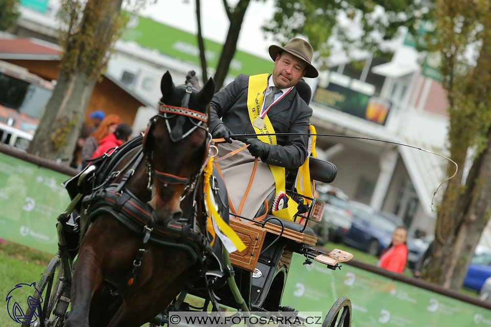 MČR Pardubice 2017 - parkur