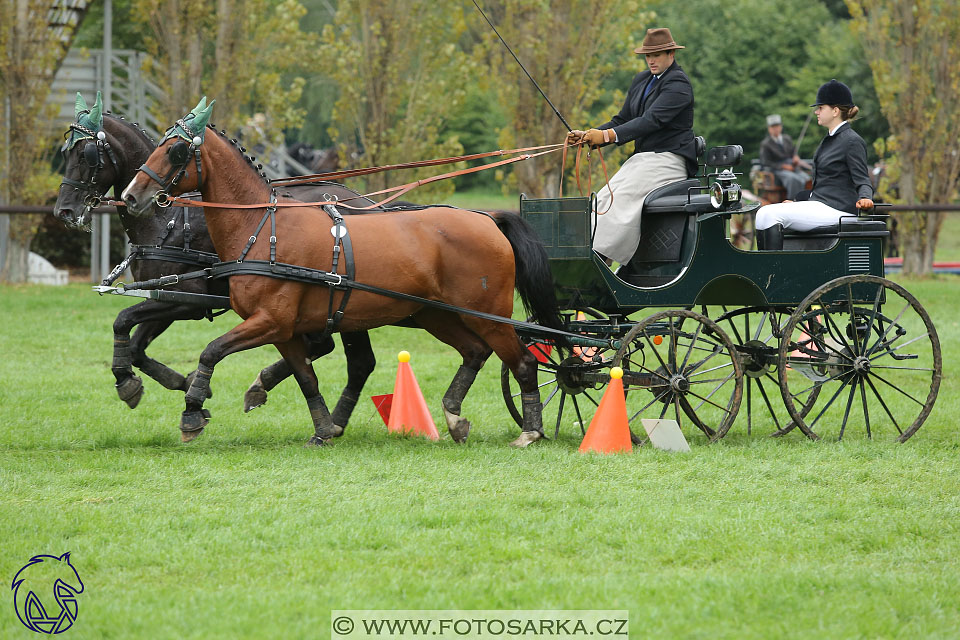 MČR Pardubice 2017 - parkur