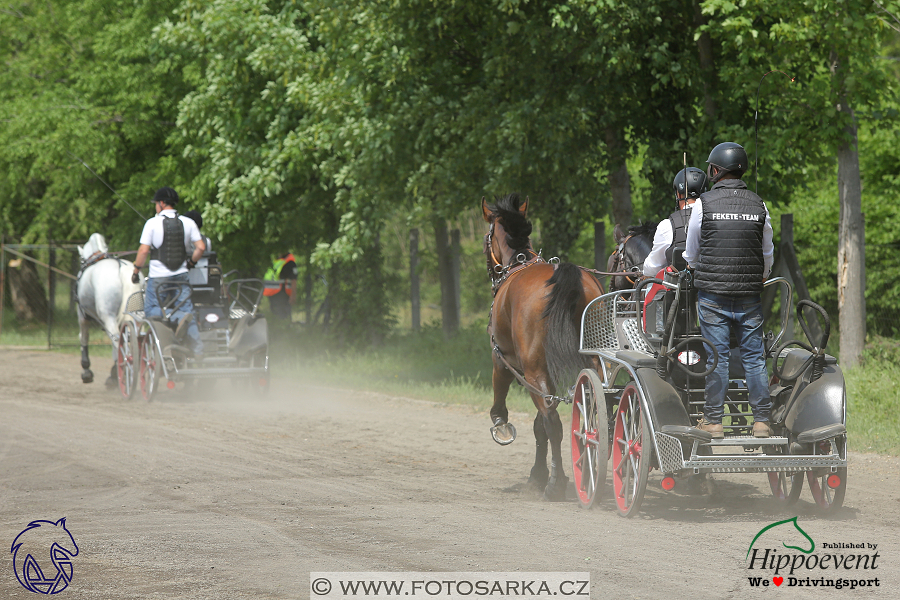 Mezöhegyes 2018 - maraton