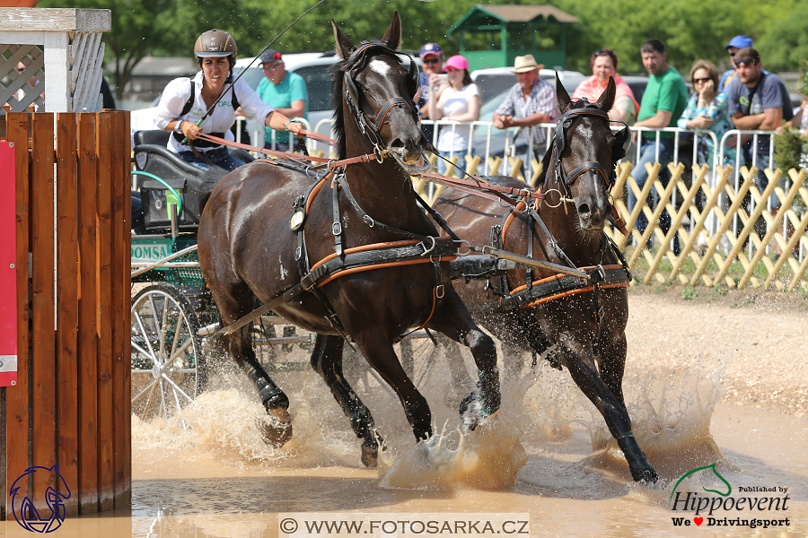 Mezöhegyes 2018 - maraton