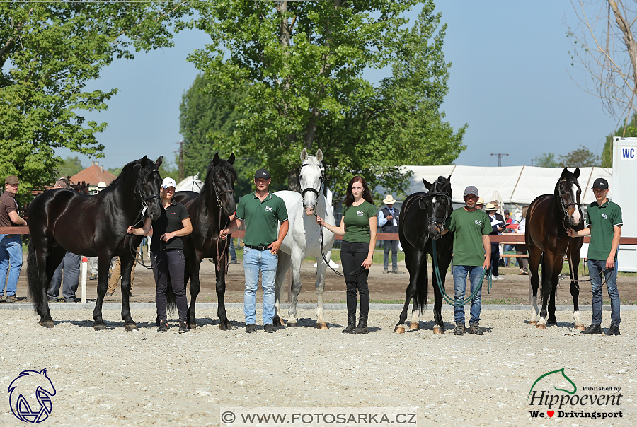 Mezöhegyes 2018 - veterinární přejímka