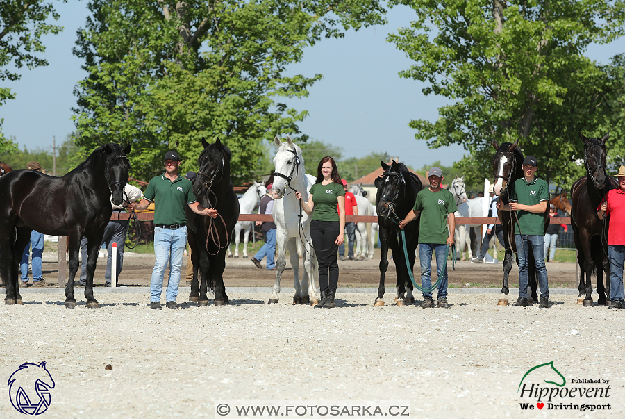 Mezöhegyes 2018 - veterinární přejímka