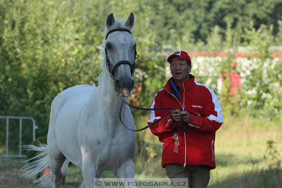 MS Breda 2016