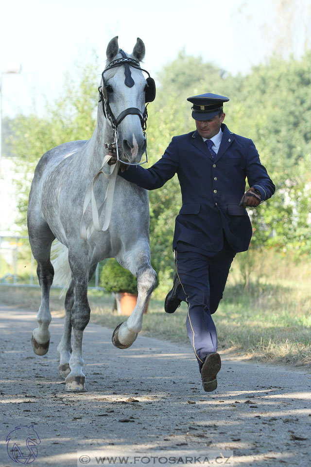 MS Breda 2016