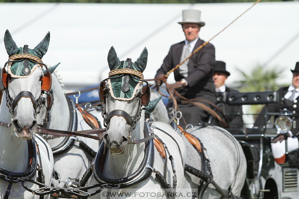 MS Breda 2016