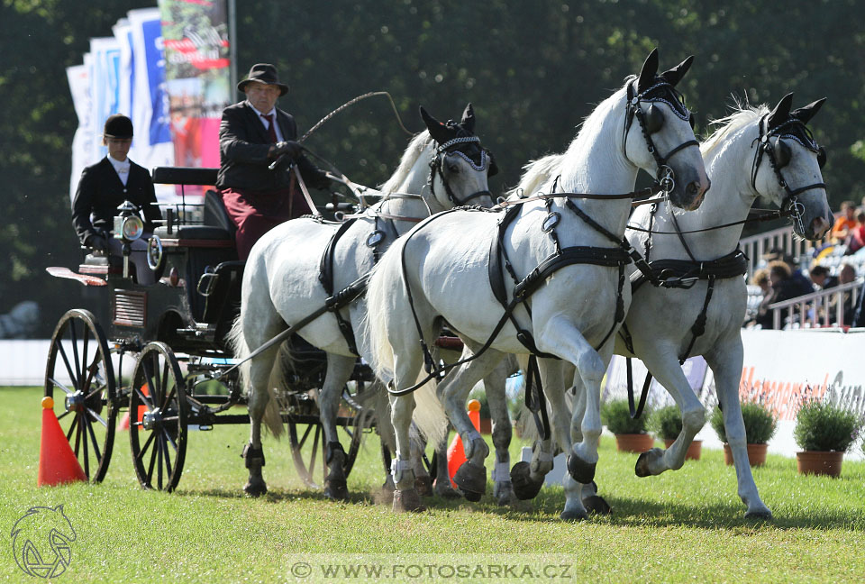 MS Breda 2016