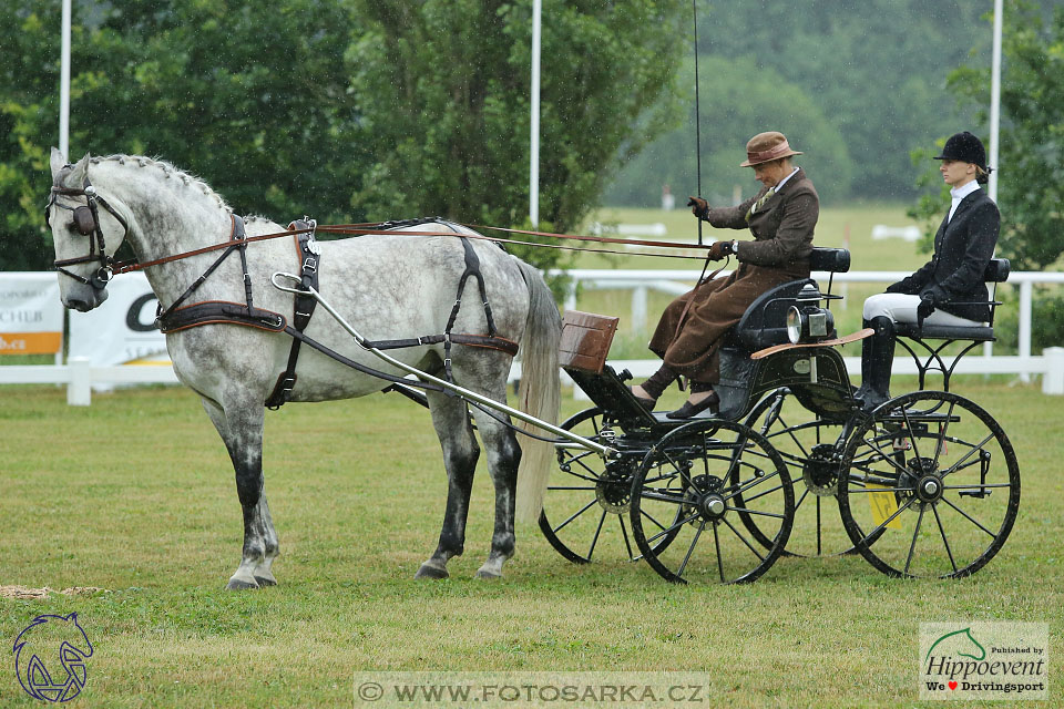 Nebanice 2017 - drezury