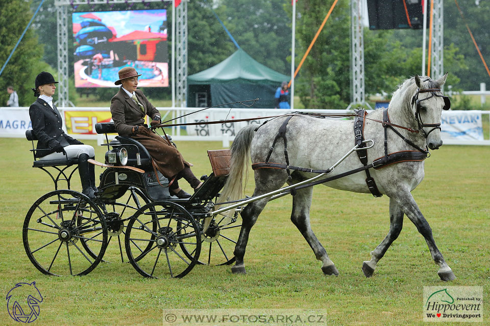 Nebanice 2017 - drezury