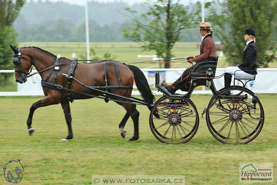 Nebanice 2017 - drezury