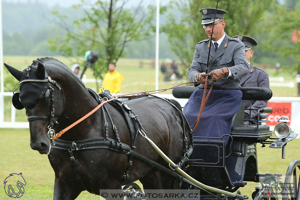 Nebanice 2017 - drezury