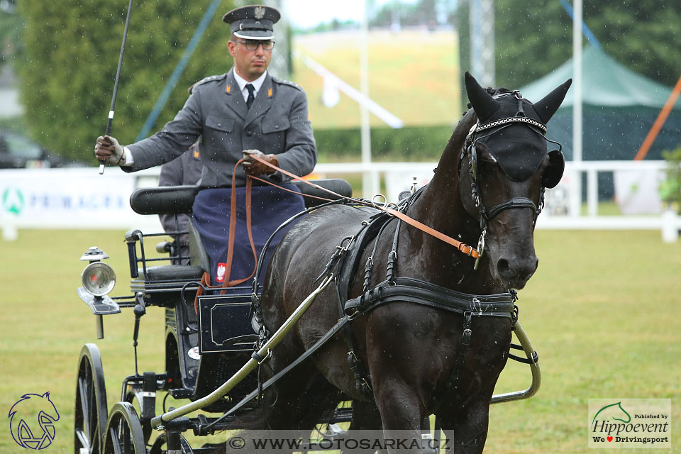 Nebanice 2017 - drezury