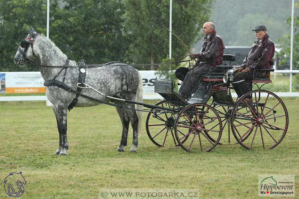 Nebanice 2017 - drezury