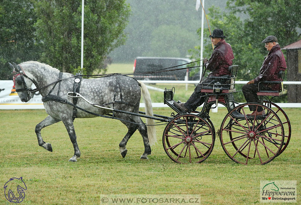 Nebanice 2017 - drezury