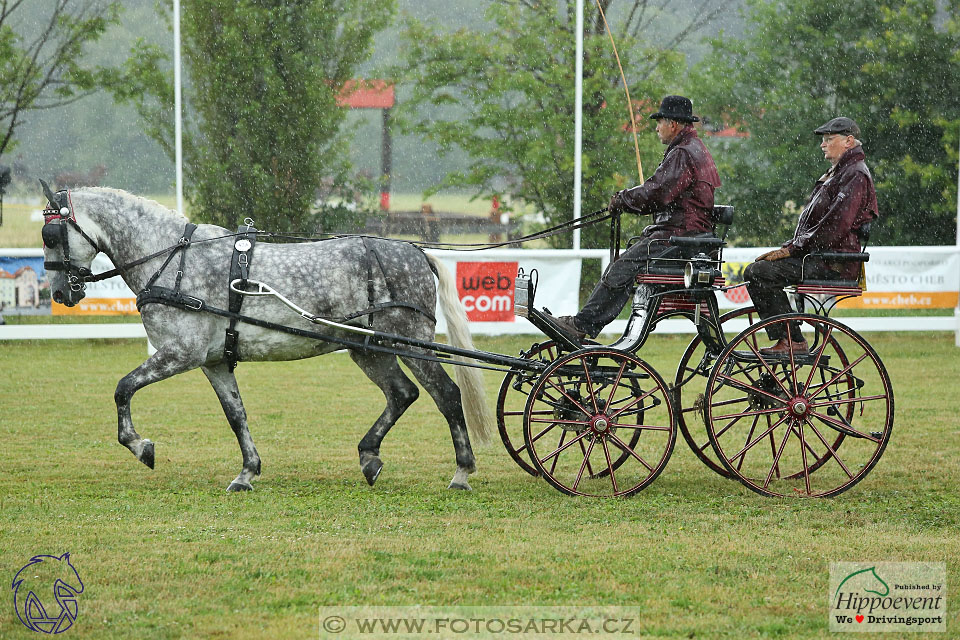 Nebanice 2017 - drezury