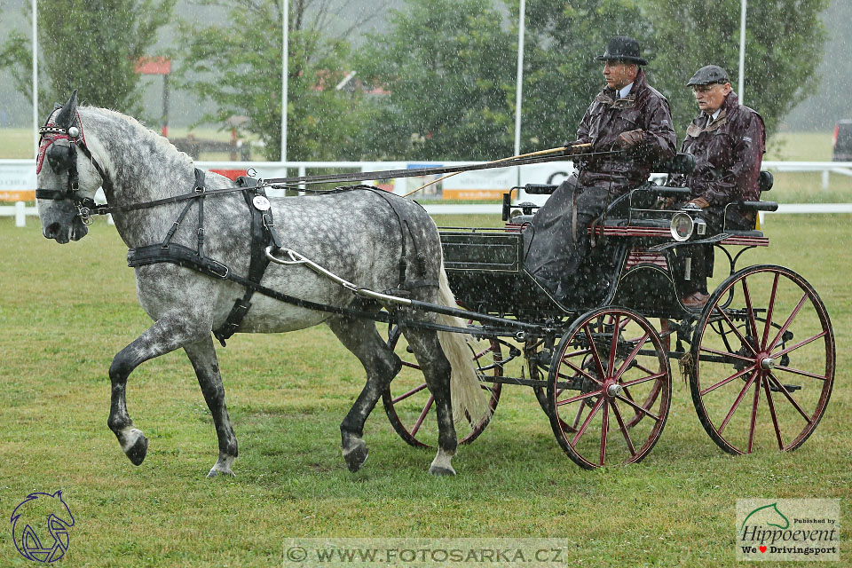 Nebanice 2017 - drezury