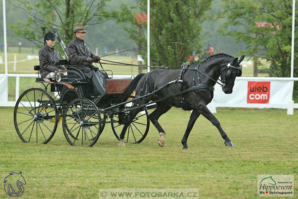 Nebanice 2017 - drezury