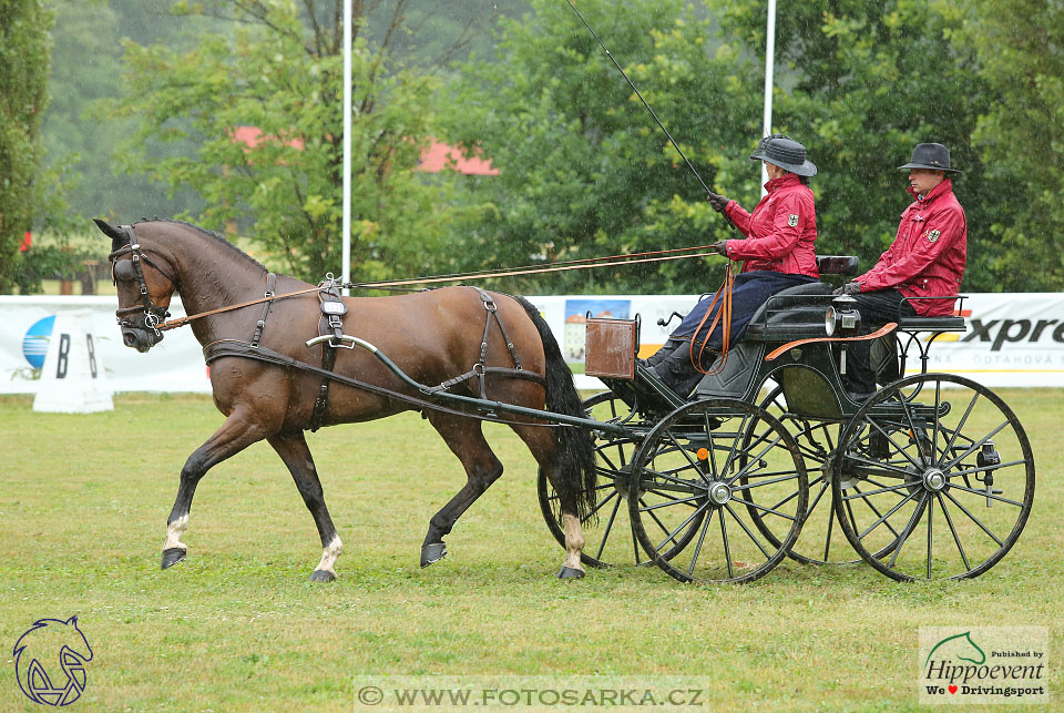 Nebanice 2017 - drezury