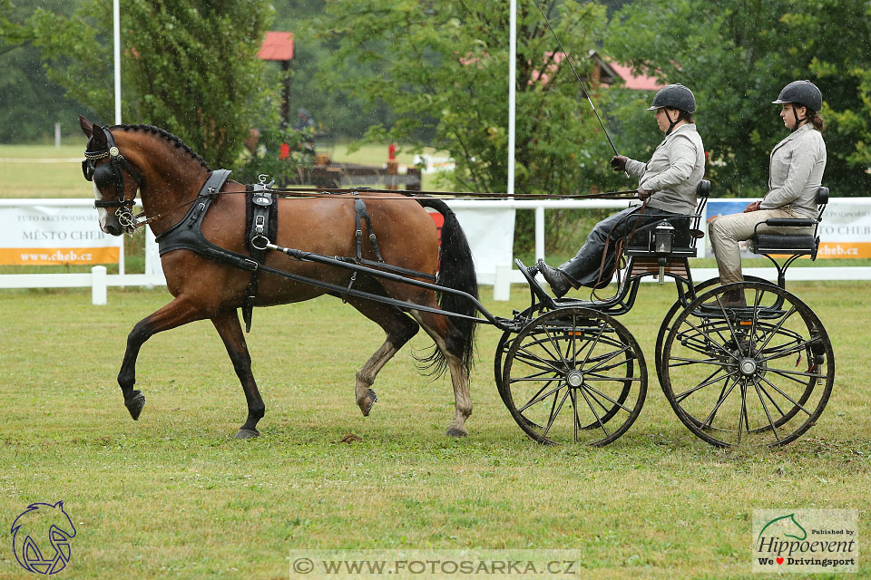 Nebanice 2017 - drezury