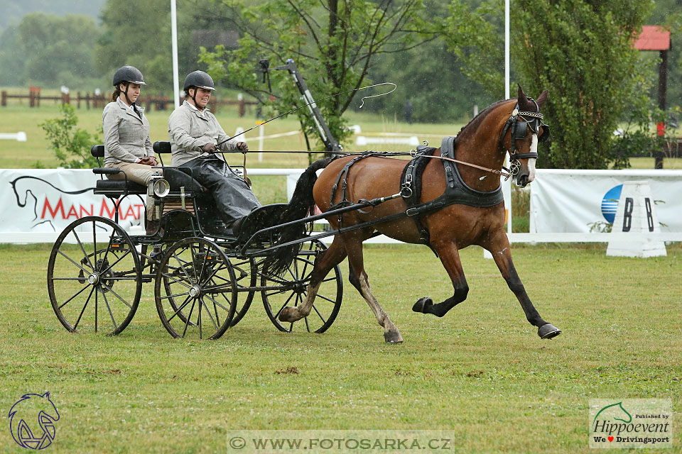 Nebanice 2017 - drezury