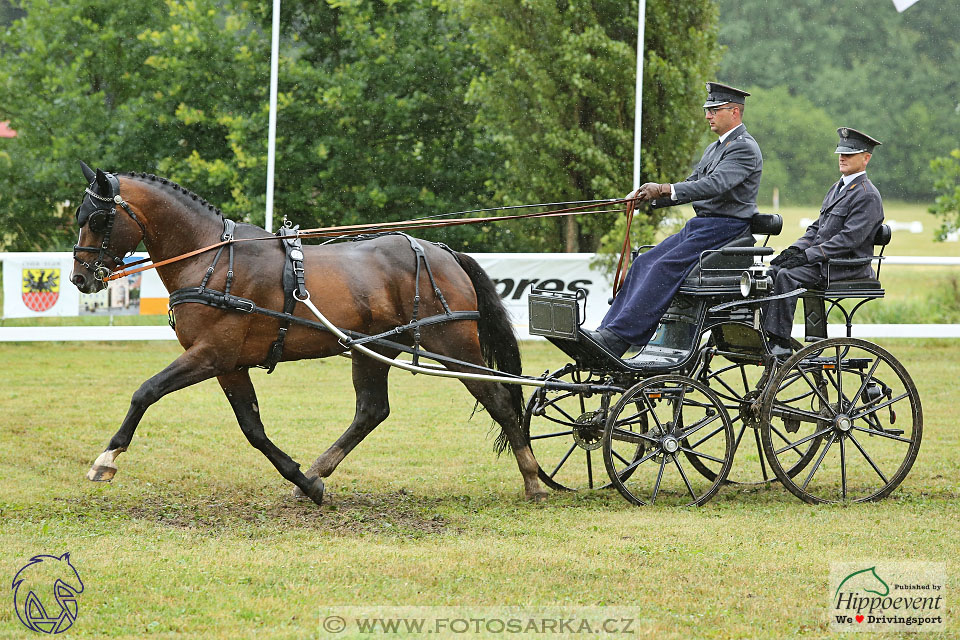 Nebanice 2017 - drezury