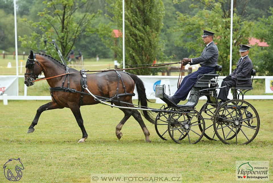 Nebanice 2017 - drezury