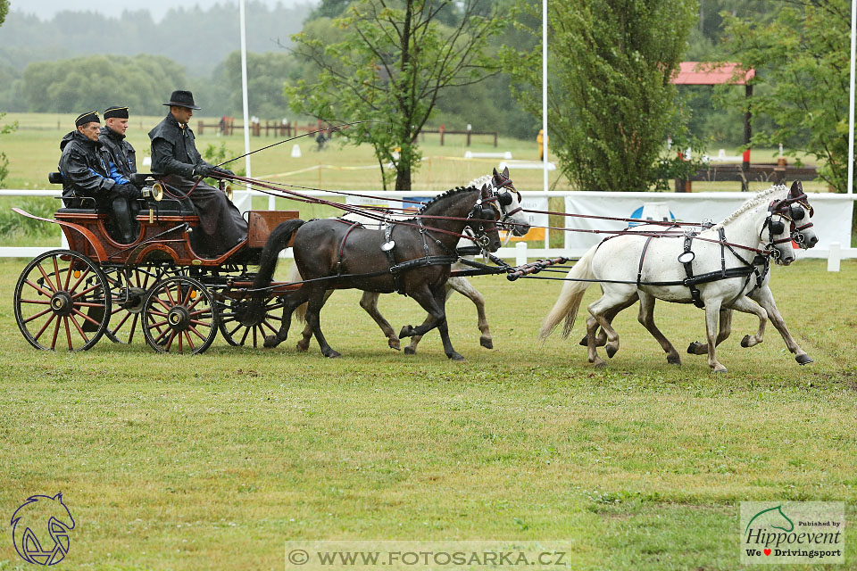 Nebanice 2017 - drezury