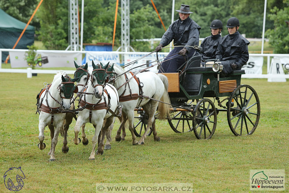 Nebanice 2017 - drezury