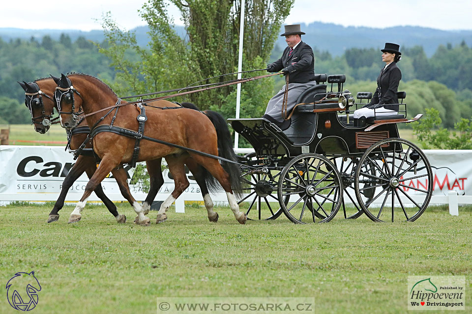 Nebanice 2017 - drezury