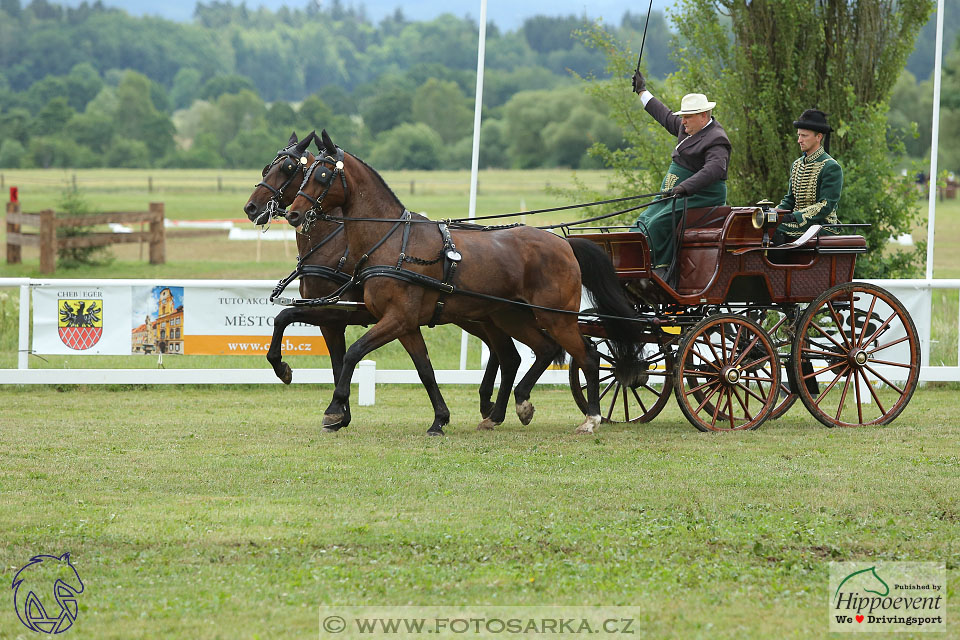 Nebanice 2017 - drezury