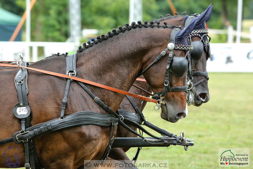 Nebanice 2017 - drezury