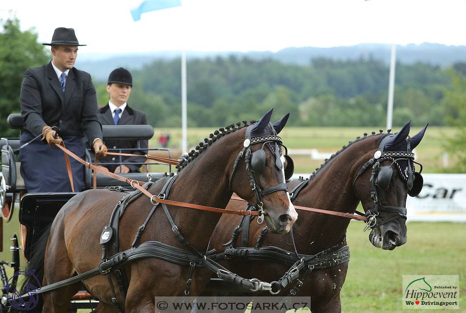 Nebanice 2017 - drezury