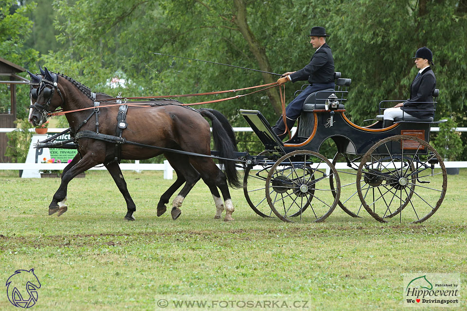 Nebanice 2017 - drezury