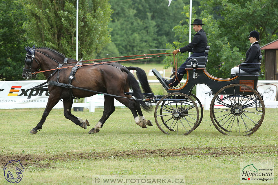 Nebanice 2017 - drezury