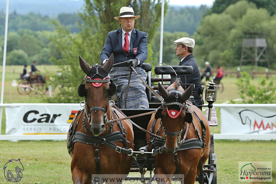 Nebanice 2017 - drezury