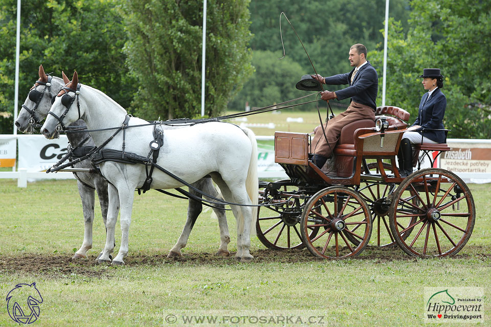 Nebanice 2017 - drezury