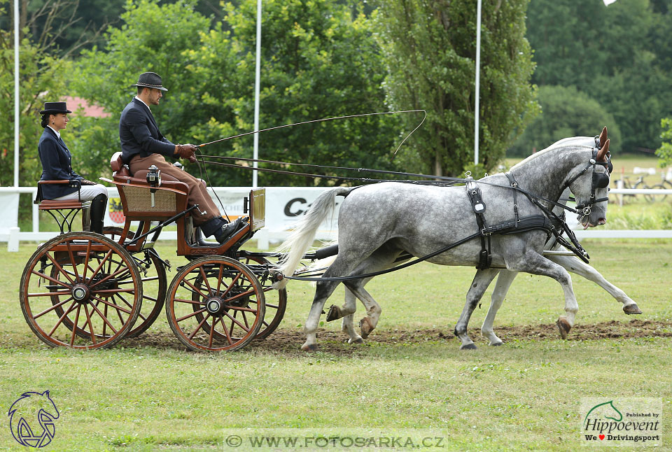 Nebanice 2017 - drezury