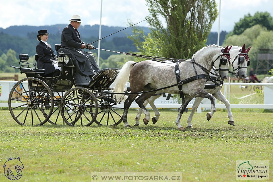 Nebanice 2017 - drezury