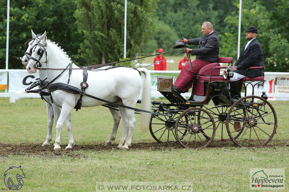 Nebanice 2017 - drezury