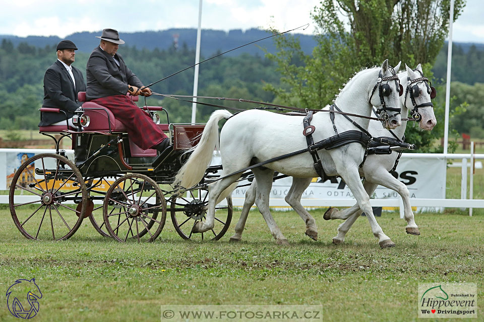 Nebanice 2017 - drezury