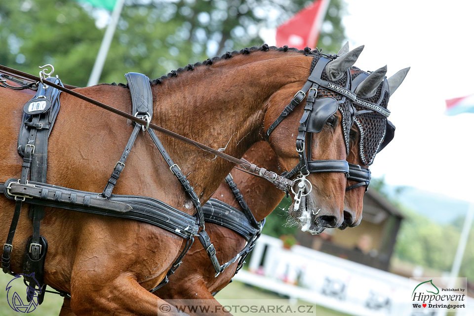 Nebanice 2017 - drezury