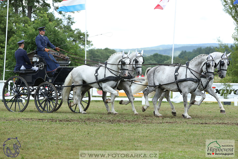 Nebanice 2017 - drezury