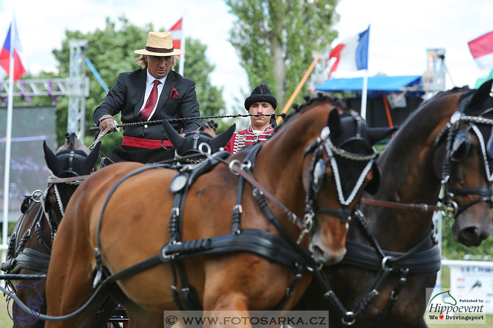 Nebanice 2017 - drezury