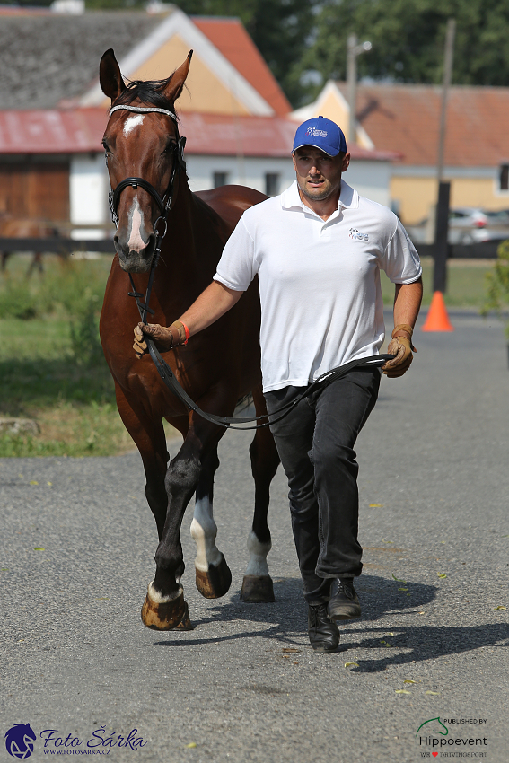 Nebanice - kodičky