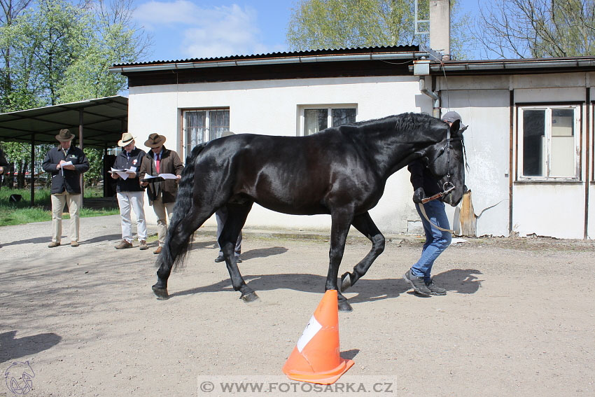 Rudolfův pohár 2016 - 1.den