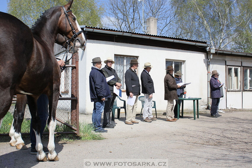 Rudolfův pohár 2016 - 1.den