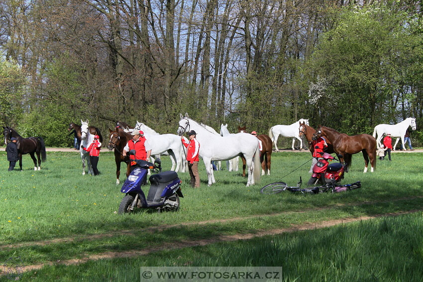 Rudolfův pohár 2016 - 1.den