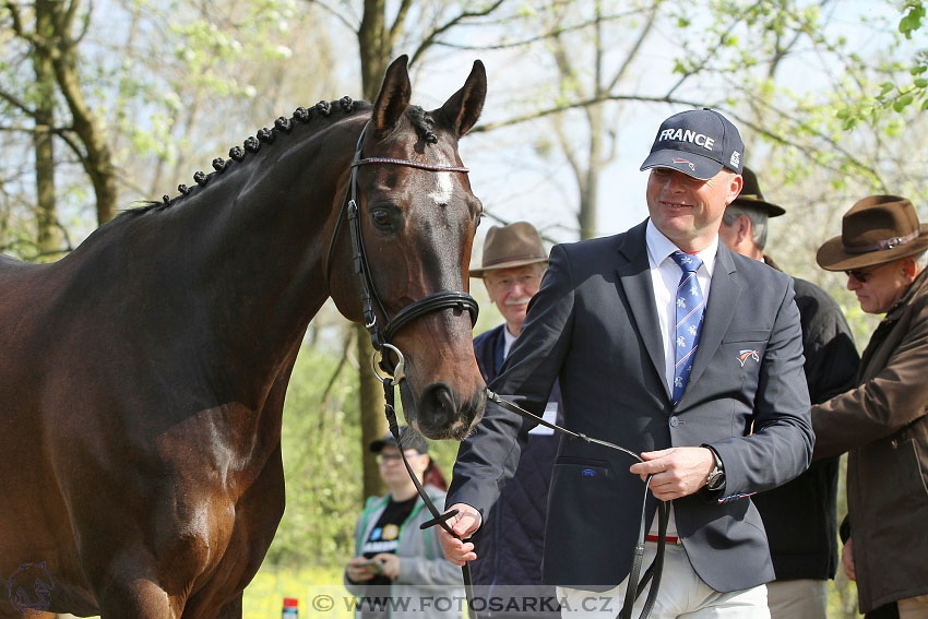 Rudolfův pohár 2016 - 1.den