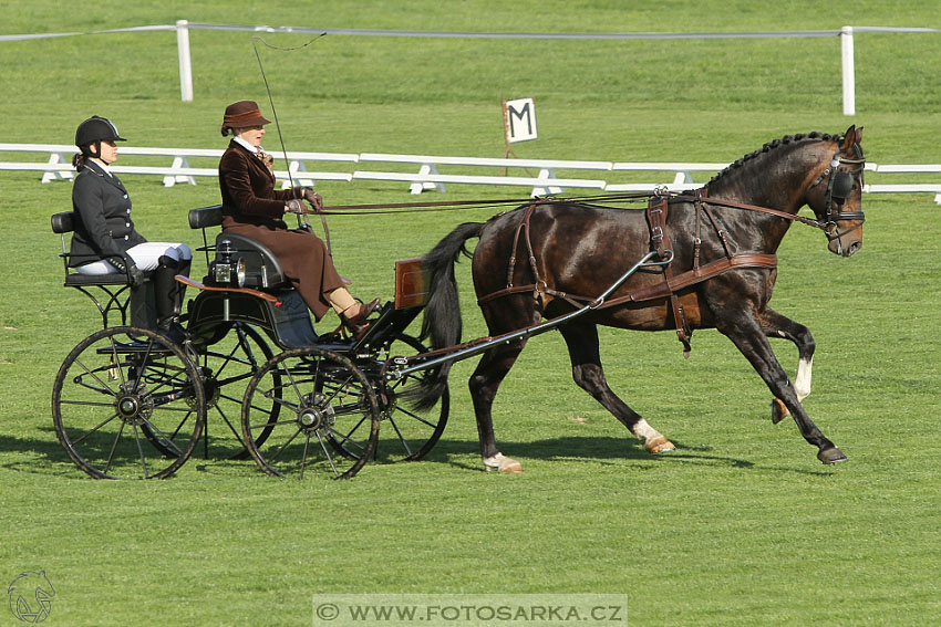 Rudolfův pohár 2016 - 2.den