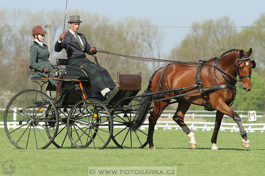 Rudolfův pohár 2016 - 2.den