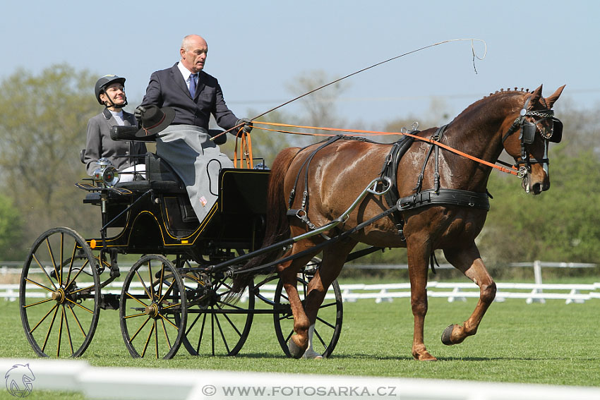 Rudolfův pohár 2016 - 2.den